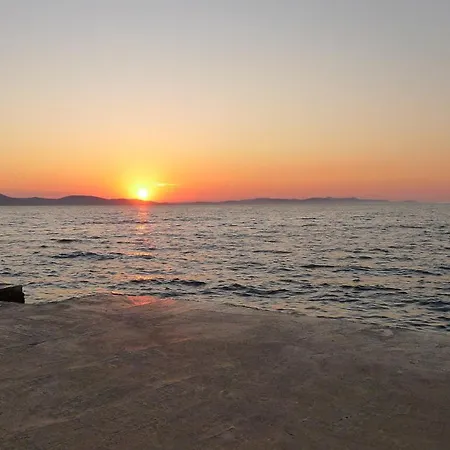 Darija Sveti Petar (Zadar)